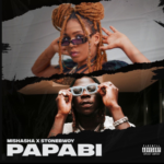 "Papabi" - Mishasha Ft Stonebwoy