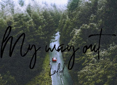 "My Way Out" - LaLid