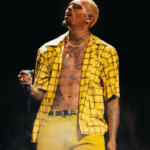 Chris Brown In Kingston, Jamaica