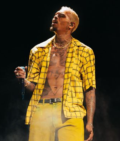 Chris Brown In Kingston, Jamaica