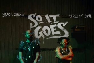 Black Sherif, Fireboy DML - So it Goes