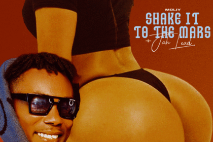 Jah Lead - Shake It To The Mars (SITTM refix)
