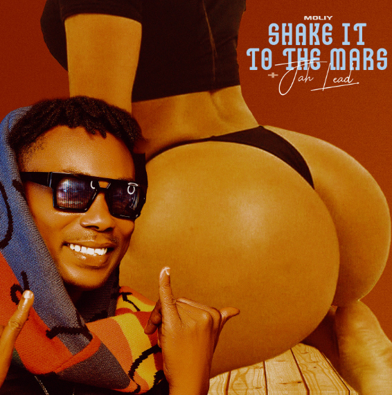 Jah Lead - Shake It To The Mars (SITTM refix)